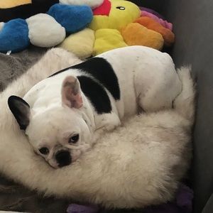 Meet your Posher, Anne